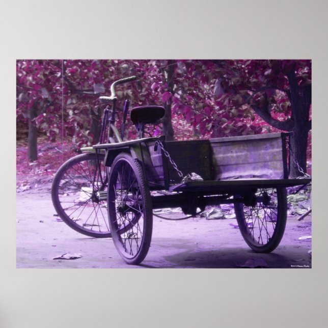 Old Bicycle Print (Front)