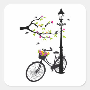 Old bicycle with lamp, flower basket, birds, tree square sticker