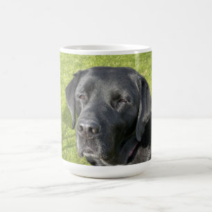 Old Black Lab   Coffee Mug