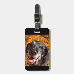 Old Black Labrador Luggage Tag