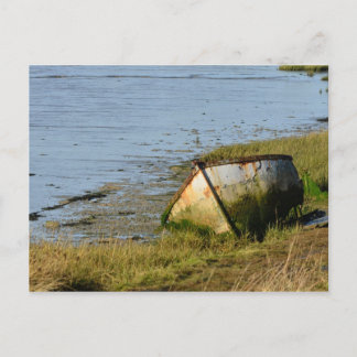 Old Boat in Creek Postcard