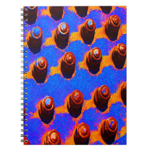 Old bolts notebook