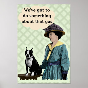 Old BostonTerrier Poster