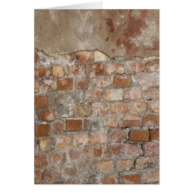 Old Brick Wall (Front)