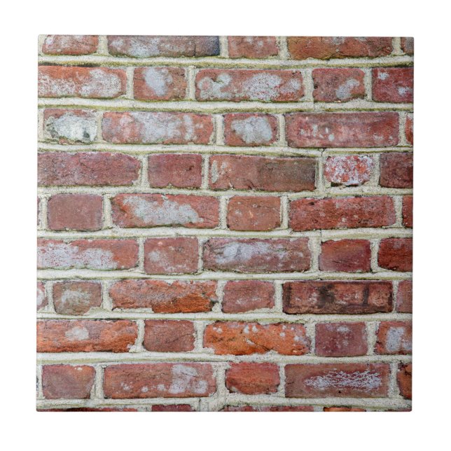 Old Brick Wall Ceramic Tile (Front)