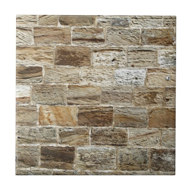 Old brick wall ceramic tile (Front)