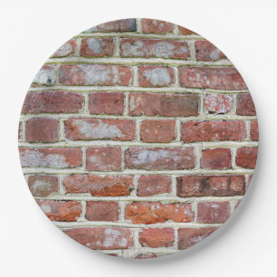 Old Brick Wall Paper Plate