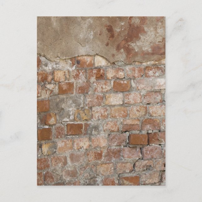 Old Brick Wall Postcard (Front)