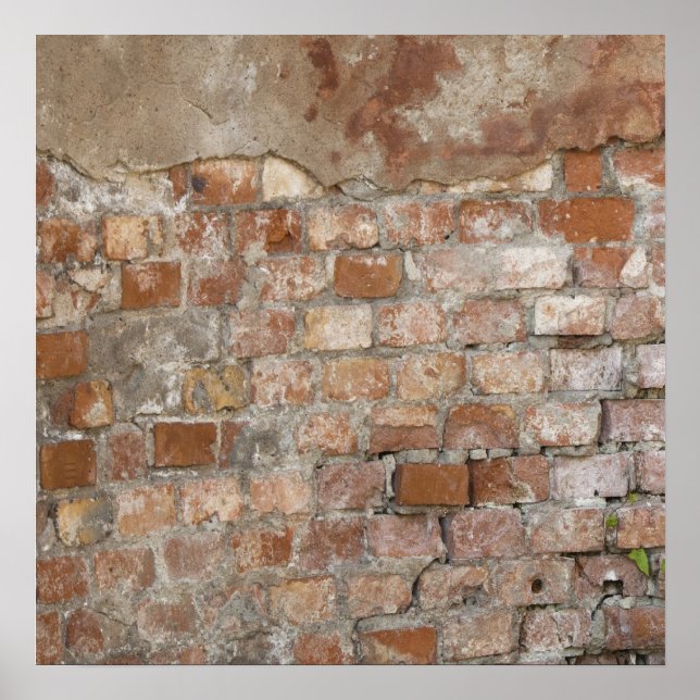 Old Brick Wall Poster (Front)