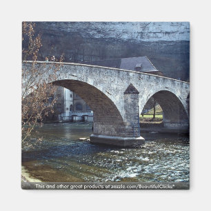 Old bridge, Fribourg, Switzerland Magnet
