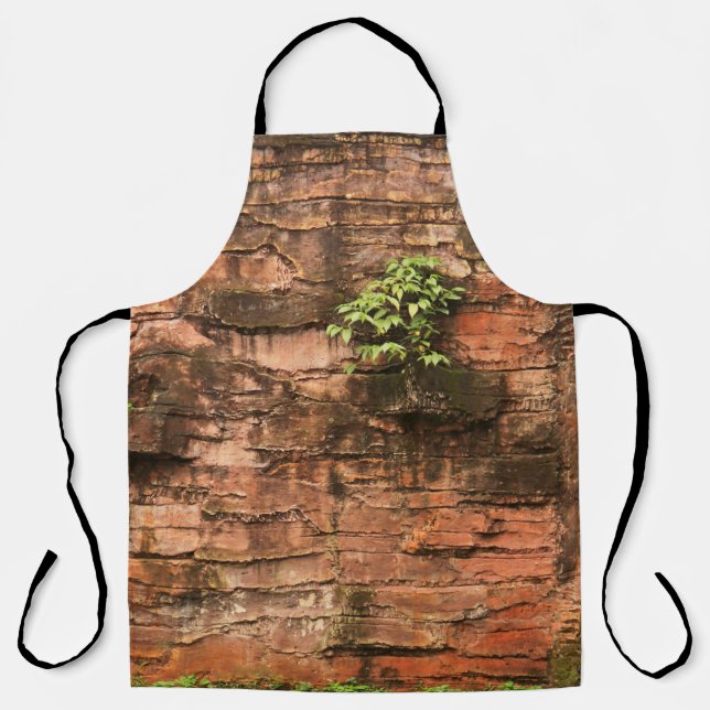 Old broken brick wall apron (Front)