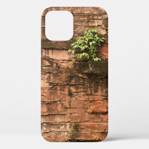 Old broken brick wall iPhone 12 case