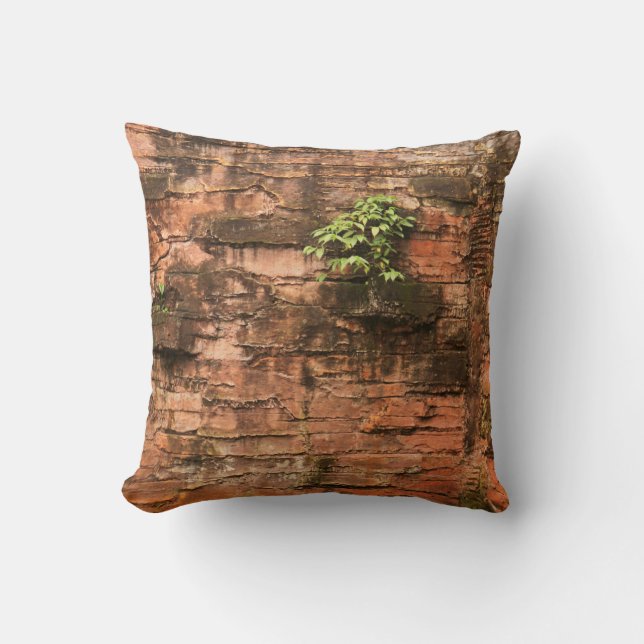 Old broken brick wall cushion (Front)