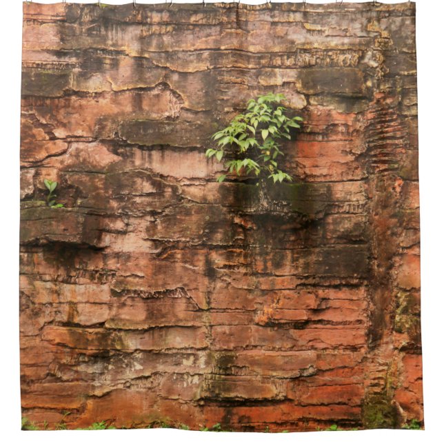 Old broken brick wall shower curtain (Front)