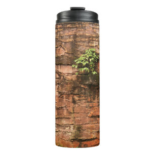Old broken brick wall thermal tumbler