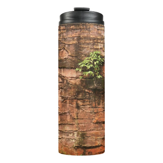 Old broken brick wall thermal tumbler (Front)