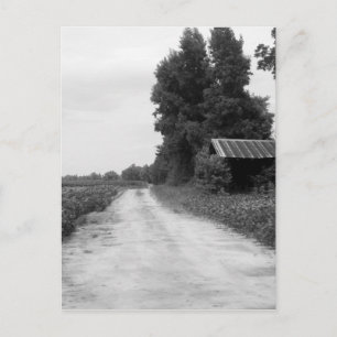 Old Building Barn in North Carolina Postcard