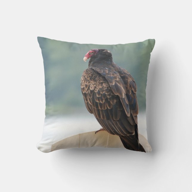 Old Buzzard  Throw Pillow (Front)