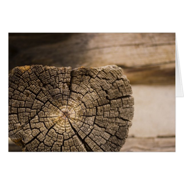 Old Cabin Textures (Front Horizontal)