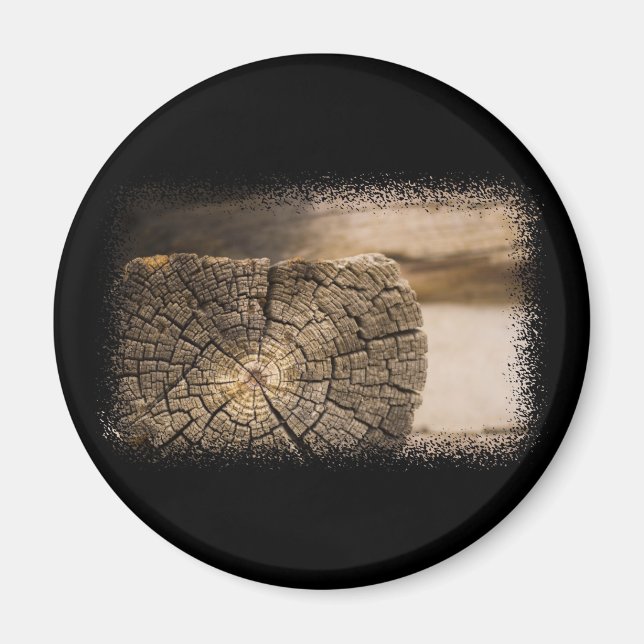 Old Cabin Textures Magnet (Front)