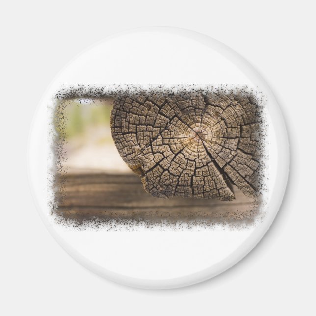 Old Cabin Wood Textures Magnet (Front)