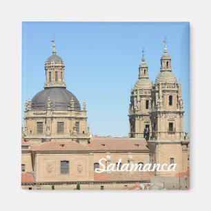 Old Cathedral, Salamanca Magnet