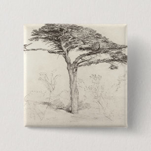 Old Cedar Tree in Botanic Garden, Chelsea, 1854 (p 15 Cm Square Badge