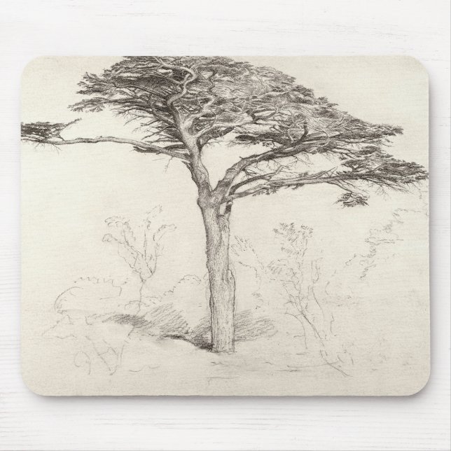 Old Cedar Tree in Botanic Garden, Chelsea, 1854 (p Mouse Pad (Front)