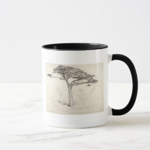 Old Cedar Tree in Botanic Garden, Chelsea, 1854 (p Mug