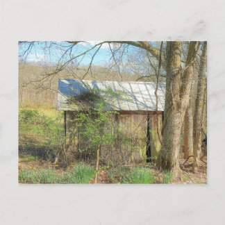 Old Chicken Coop Postcard
