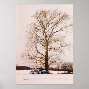 Old classic tanker truck Sycamore tree Poster
