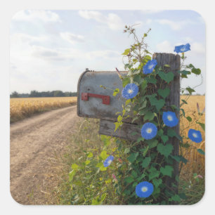 Old Country Mailbox with Morning Glories Square Sticker