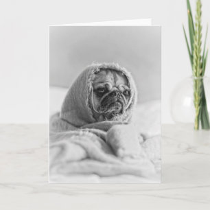 Old Country Pug Card