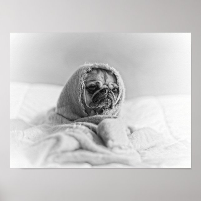 Old Country Pug Poster (Front)