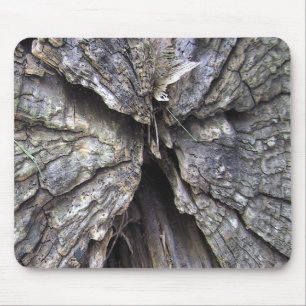 Old Cracked Wood an Angel  Mousepad