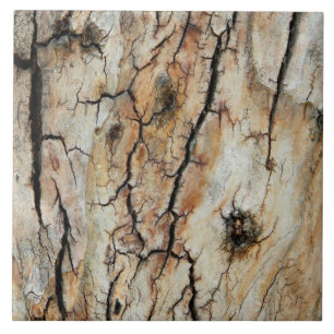 Old cracked wood natural tree bark picture tile