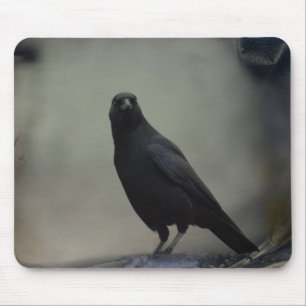 Old Crow Art Mouse Pad
