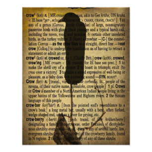 Old Crow Collage Photo Print