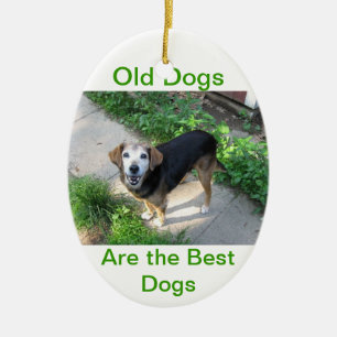 Old Dogs are the Best Dogs Ceramic Ornament