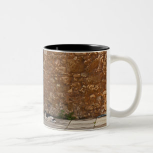 Old door and resting cat Two-Tone coffee mug