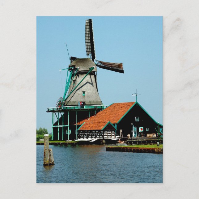 Old Dutch Windmill Postcard (Front)