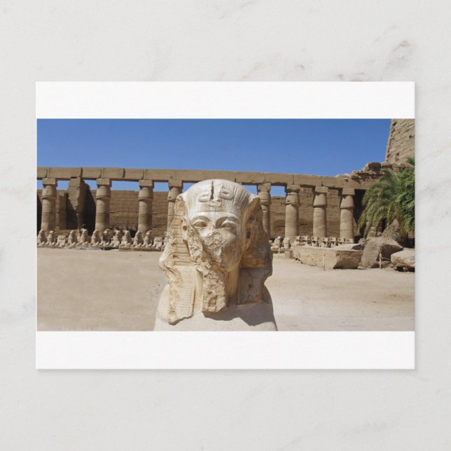 old egypt postcard (Front)