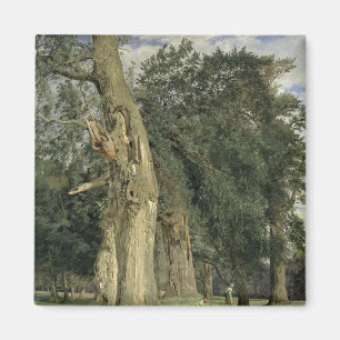 Old elms in Prater, 1831 Magnet