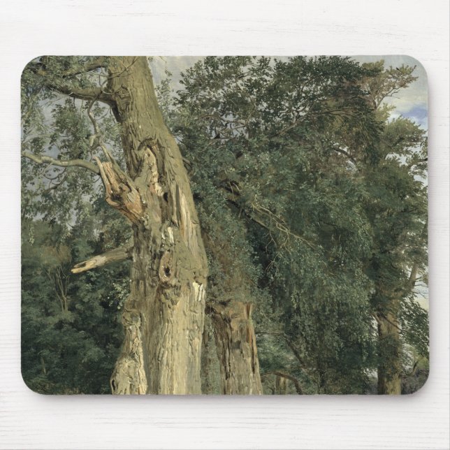 Old elms in Prater, 1831 Mouse Pad (Front)