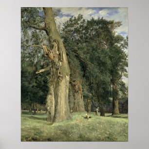Old elms in Prater, 1831 Poster