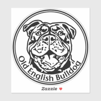 Old English Bulldog OEB