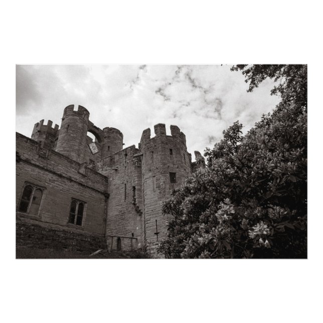 Old English Castle. Photo Print (Front)