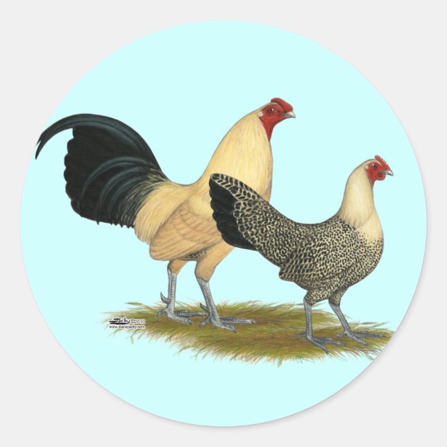 Old English Cream Buttercups Classic Round Sticker (Front)