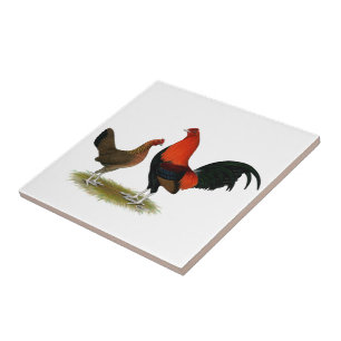 Old English Game Bantams:  BB Red Pair Tile