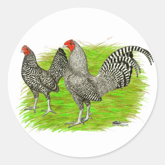 Old English Game Barred Chickens Classic Round Sticker (Front)